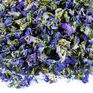 Dried sweet violet flowers, blue petals with pale green leaves for craft decor