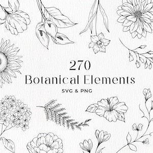 Botanical line art clipart bundle with flowers, leaves, and stems