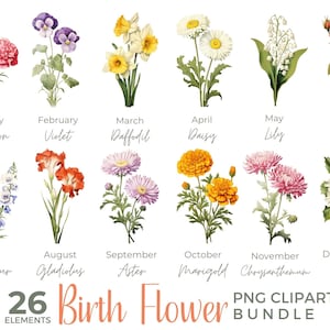 Birth month flowers clipart bundle, 26 PNGs of month-labeled blooms