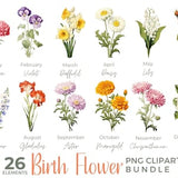 Birth Month Flowers Clipart Bundle | Birthmonth PNG Birth Flower | 26 Piece Birth Flower Clipart | Birth Month | Unique Birth Flower Gift