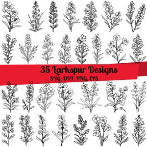 35 Larkspur SVG Bundle, Larkspur Line Art, Larkspur dxf, Larkspur png, Larkspur eps,Larkspur vector,Larkspur Flower svg, Larkspur outline