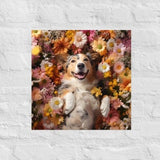 Cute dog photography print - Border Collie/ Australian shepherd in a garden of beautiful flowers.