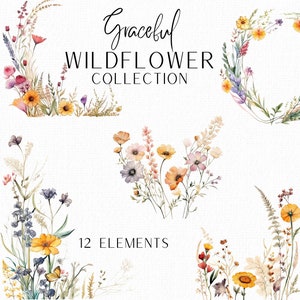 Watercolor wildflower clipart bundle with 12 floral elements and decorative borders