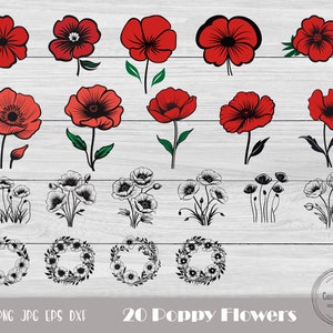 Poppy flower clipart set with red and black-and-white poppy illustrations