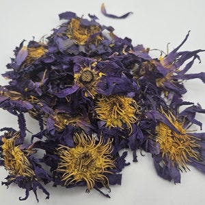 Whole dried blue lotus flowers with purple petals and golden stamens
