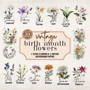 Vintage birth month flower clipart bundle with watercolor florals for each month, PNG