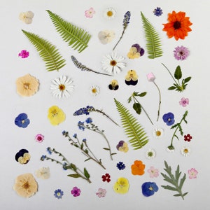 Pressed flower and leaf cake decoration set with assorted small multicolor blooms