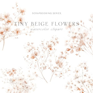 Watercolor beige flower bouquet clipart with delicate blossoms and stems, scrapbook set