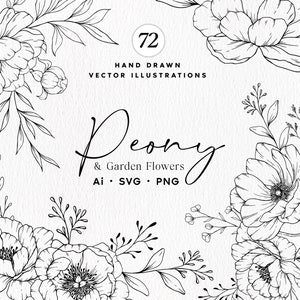 Fine line peony and garden flowers botanical artwork, hand-drawn SVG clipart