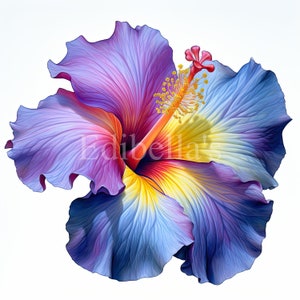 Hibiscus flower clipart with purple, pink, blue, and yellow gradient petals