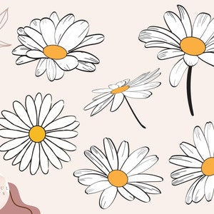 Daisy Svg File - Floral Digital Cutting Design for Cricut and Silhouette - Flower Clipart for DIY Crafts and Vinyl Projects, Daisy Png