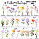25 Birth Month Flowers Clipart, PNG, Set Watercolor, Watercolor Floral PNG, Birth Month Flower Kit Watercolor Clipart, Bundle for Birthday