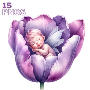 Purple floral fairy clipart: winged cherub inside large tulip flower, PNG