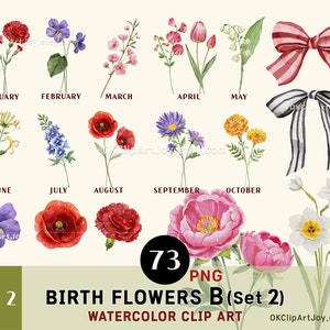 Birth flowers watercolor clipart bundle, set 2, 73 PNG floral month graphics