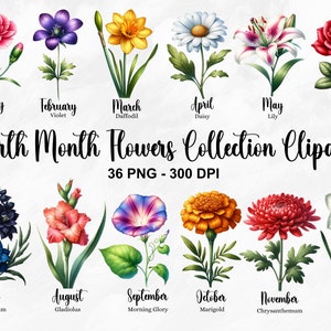 Birth month flower clipart set with labeled blooms for February through December