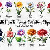 Watercolor Birth Month Flowers Clipart, 36 PNG Birth Month Flower Clipart, Botanical Clipart, DIY Birth Month Flower Bundle, Commercial Use