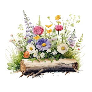 Watercolor wildflower clipart: colorful blooms and green leaves on a cut log