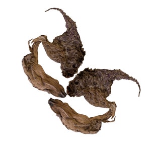 Dried brown duck flowers, whole botanical pieces for natural cleanse