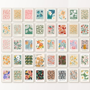 Set of colorful floral art print posters with varied botanical illustrations, multiple frames.