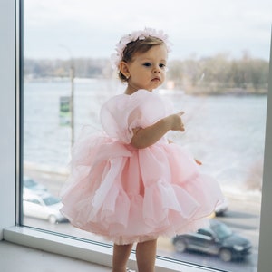 Light pink tulle tutu baby dress with puffy sleeves and layered skirt