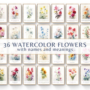 Set of 36 watercolor floral prints in small framed cards, assorted bouquets and colors