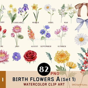 Watercolor birth flowers clipart bundle with month flowers, 82 PNG graphics, set 1