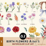 Birth Month Flowers Clipart, Watercolor Floral PNG bundle, Flower Graphic Botanical Clipart DIY Birth Month Flower Print Creator Kit Mothers