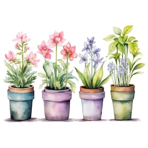 Watercolor flower pots clipart set with four potted spring flowers in soft colors