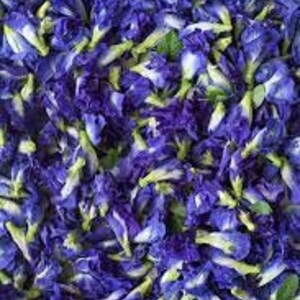 Dried butterfly pea flowers for herbal tea, purple petals with green stems