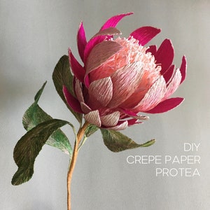 Handmade crepe paper Protea flower with green leaves and ribbon on a stem