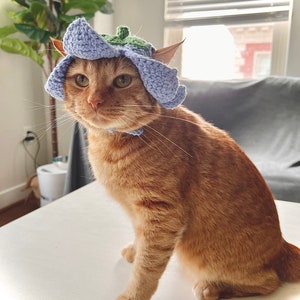 Crochet cat hat pattern: orange tabby cat wearing light blue ruffled hat