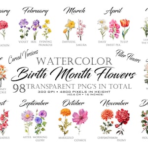 Watercolor birth month flowers clipart bundle, 12 flower PNGs with month labels
