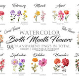 Watercolor Birth Month Flowers Clipart Bundle Transparent PNG, DIY Card Making for Birthdays, Mothers Day gift, Botanical Clipart, Bouquets