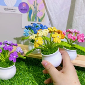 Crochet forget-me-not flower potted ornament with blue, yellow and pink blooms in a white pot