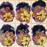 30 pcs ÔPlayfulÕ UNIQUE BLEND *EDIBLE* pressed flowers & herbs - Chemical free, garden grown, hand pressed for baking/decorating