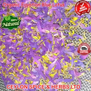 Dried Egyptian blue lotus flowers with purple petals, bulk