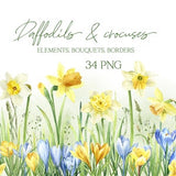Spring flowers clipart, spring clipart, daffodil png, crocus, watercolor floral border, yellow flowers clip art, free commercial use
