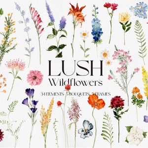 Watercolor wildflower clipart set with assorted flowers, leaves, and butterflies; LUSH Wildflowers logo