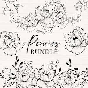 Floral peony bundle design with line-art flowers and 'Peonies BUNDLE' text