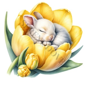 Sleeping white-and-gray bunny curled in yellow tulip bouquet illustration