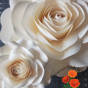 Digital rose template with layered cream blossoms and floral text design