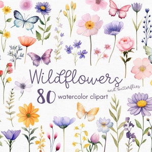 Watercolor wildflower clipart set with assorted flowers and butterflies, 80 PNGs