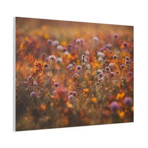 Autumn wildflower canvas wall art with purple blooms and orange background