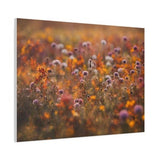 Beautiful Autumn flowers in a field art on canvas - free delivery to US