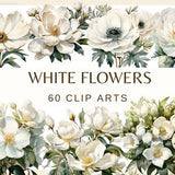 WHITE FLOWERS - 60 clip arts (300 DPI, commercial use, floral, nature, wedding flower, png, orchid, jasmine, anemone, cosmoc, daisy)
