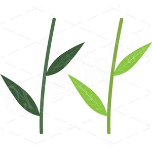 Green flower stem clipart with leaves, two stem designs