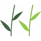 Flower Stem SVG PNG JPG - Flower Stem Sublimation - Bundle of 2 - Flower Stem Clipart - Flower Stem Cricut - Flower Stem Graphics