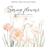 Watercolor Floral Borders Clipart, Spring Flowers Borders, Tulips and Daffodils Borders,  Wedding Clipart, Blush Flower Clipart, Narcissus