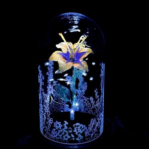 Glowing enchanted flower in decorative blue dome with ribbon accents