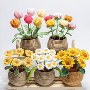 Crochet amigurumi flower pots with assorted yarn flowers